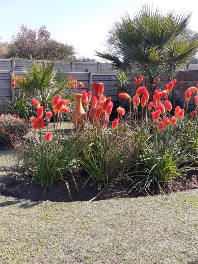 Rustic Red Benoni